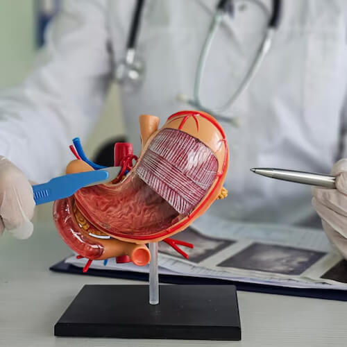 Internal Medicine Department at Healthplus Hospital